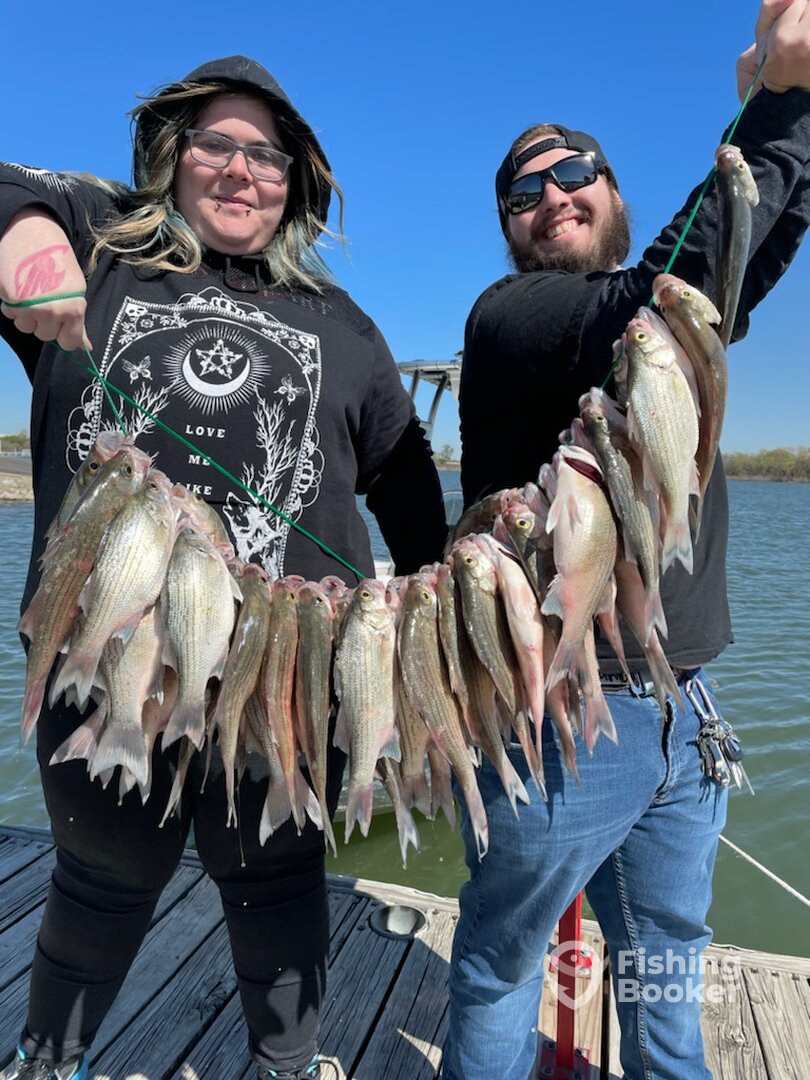 Lewisville Report Photo 0