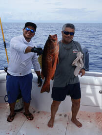 Herradura Report Photo 2