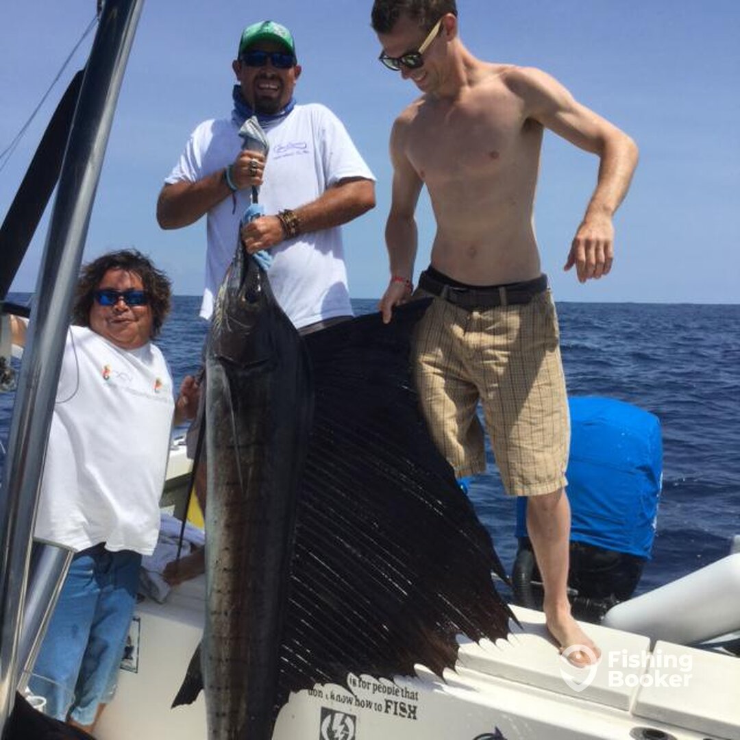 Sailfish