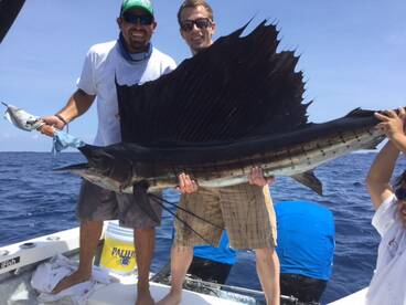 Puerto Vallarta Report Photo 1