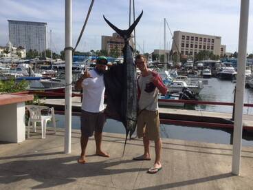 Puerto Vallarta Report Photo 2