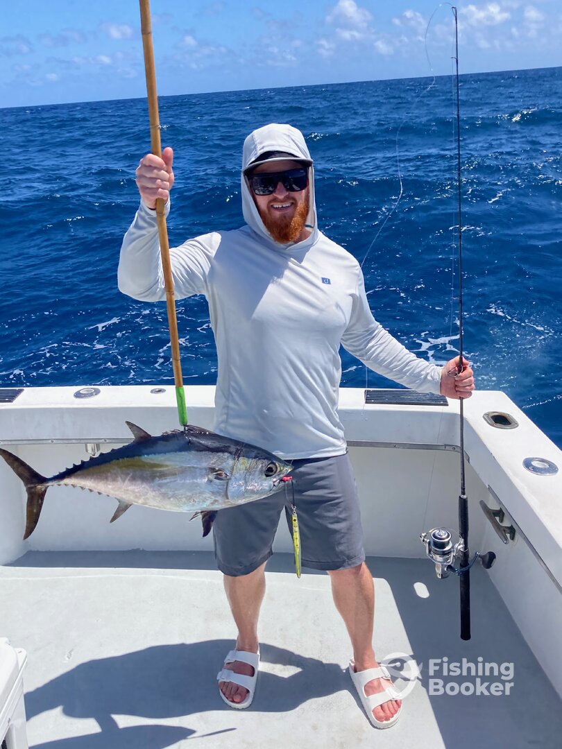 Dania Beach Report Photo 0