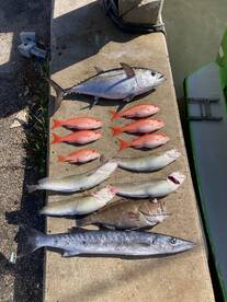 Dania Beach Report Photo 2