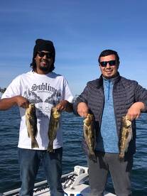 LOCAL HALFDAY TRIPS GREAT!