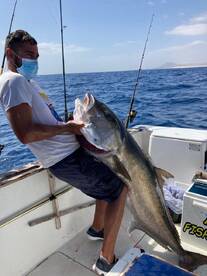 Amberjack
