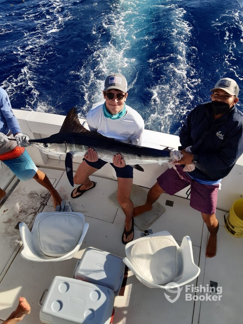 Cancún Report Photo 0