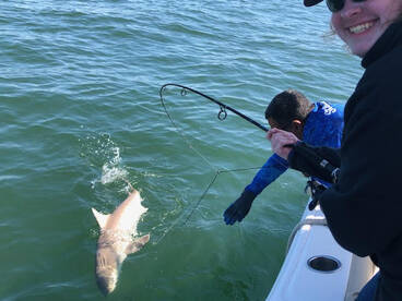 Midway Report Photo 1