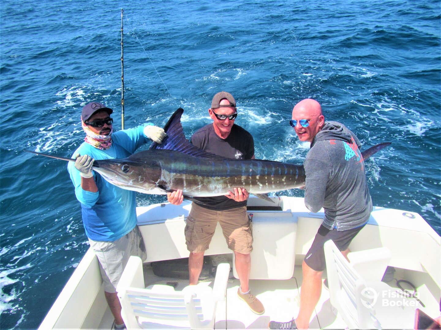 Cabo San Lucas Report Photo 0