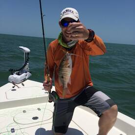 Mutton snapper on fly