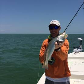 Marco Island Report Photo 1