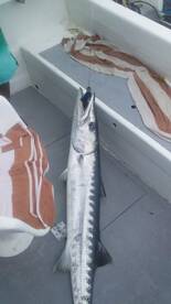 Playa Del Carmen Report Photo 1