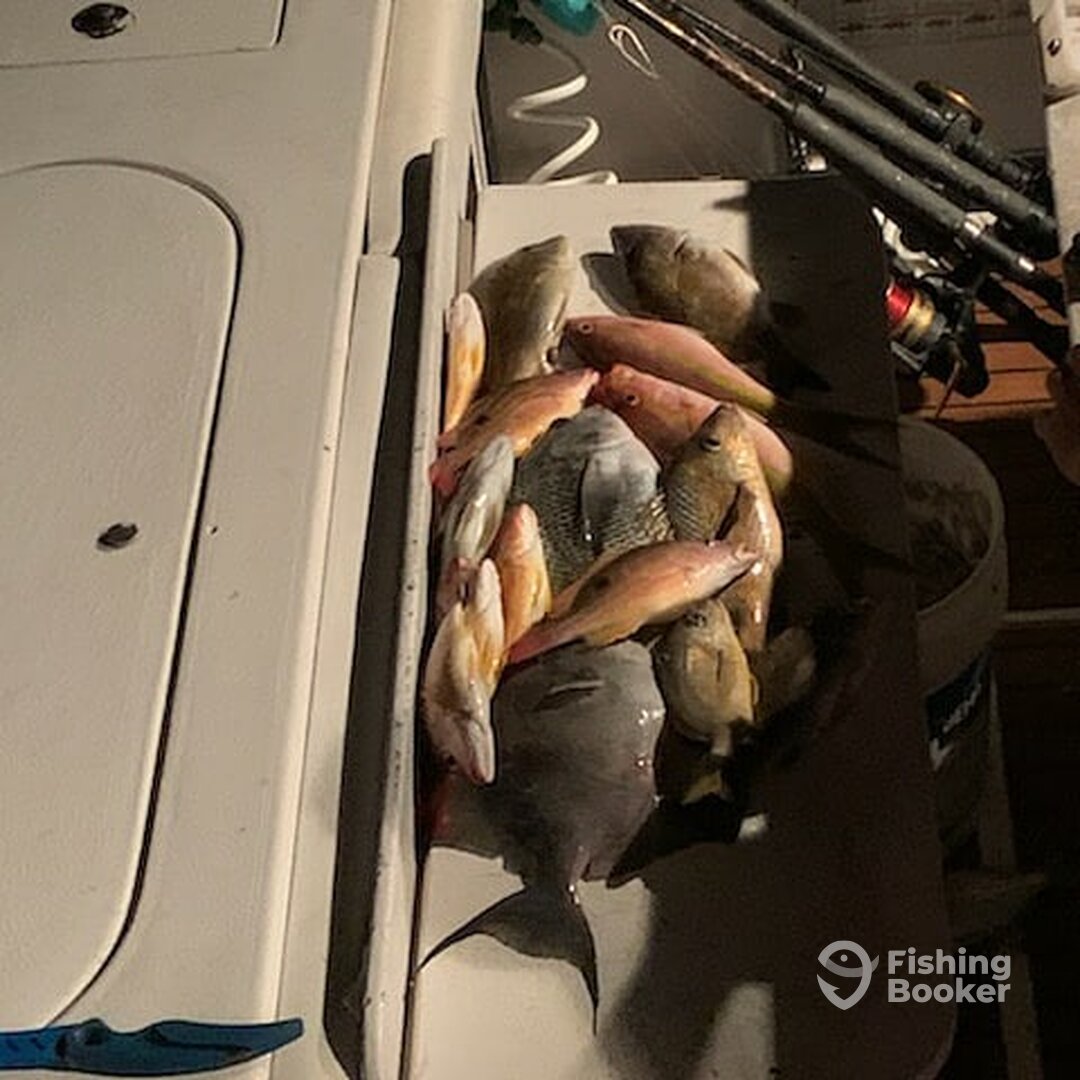 West Palm Beach Report Photo 0