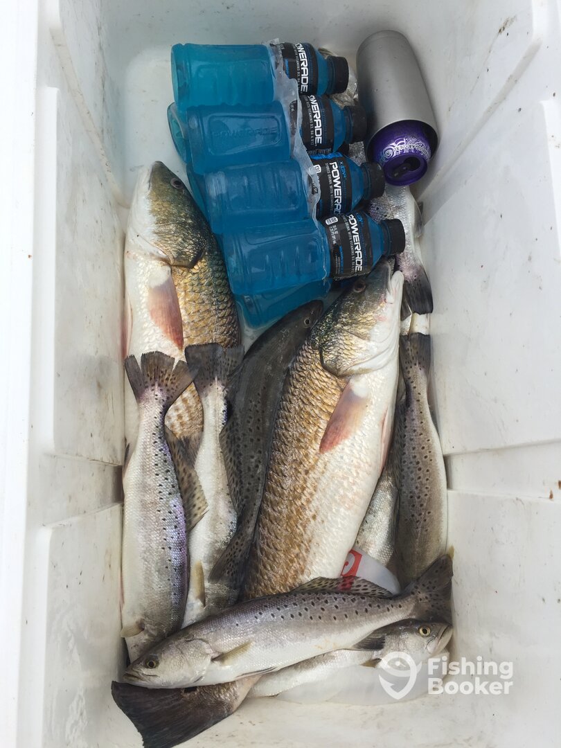 Houston Report Photo 0