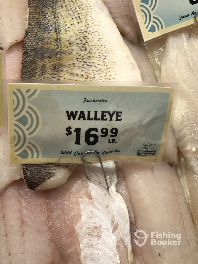 Wyandotte Report Photo 0