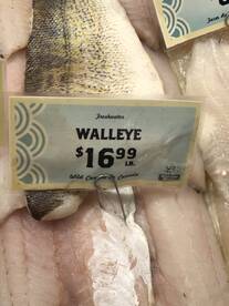 Why buy walleye when you can catch your 