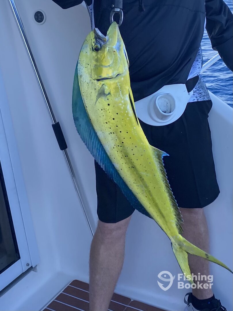 Marathon Report Photo 0