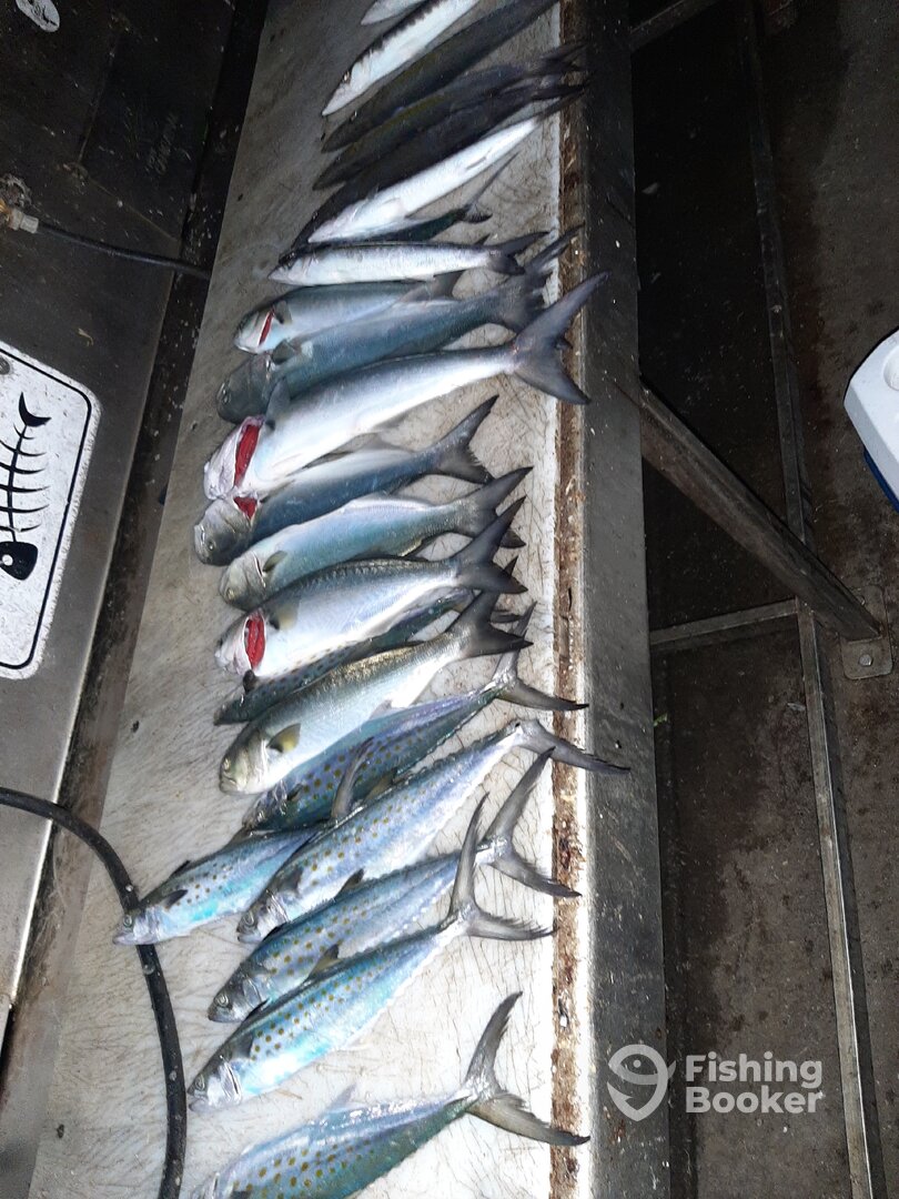 Port Canaveral Report Photo 0