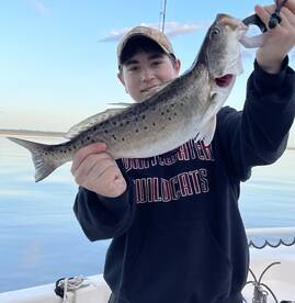 Redfish, Trout, Black Drum, Sheepshead