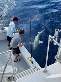 Dania Beach Report Photo 2