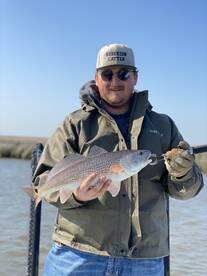 New Orleans Report Photo 1