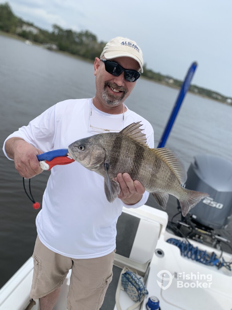 Mount Pleasant Report Photo 0