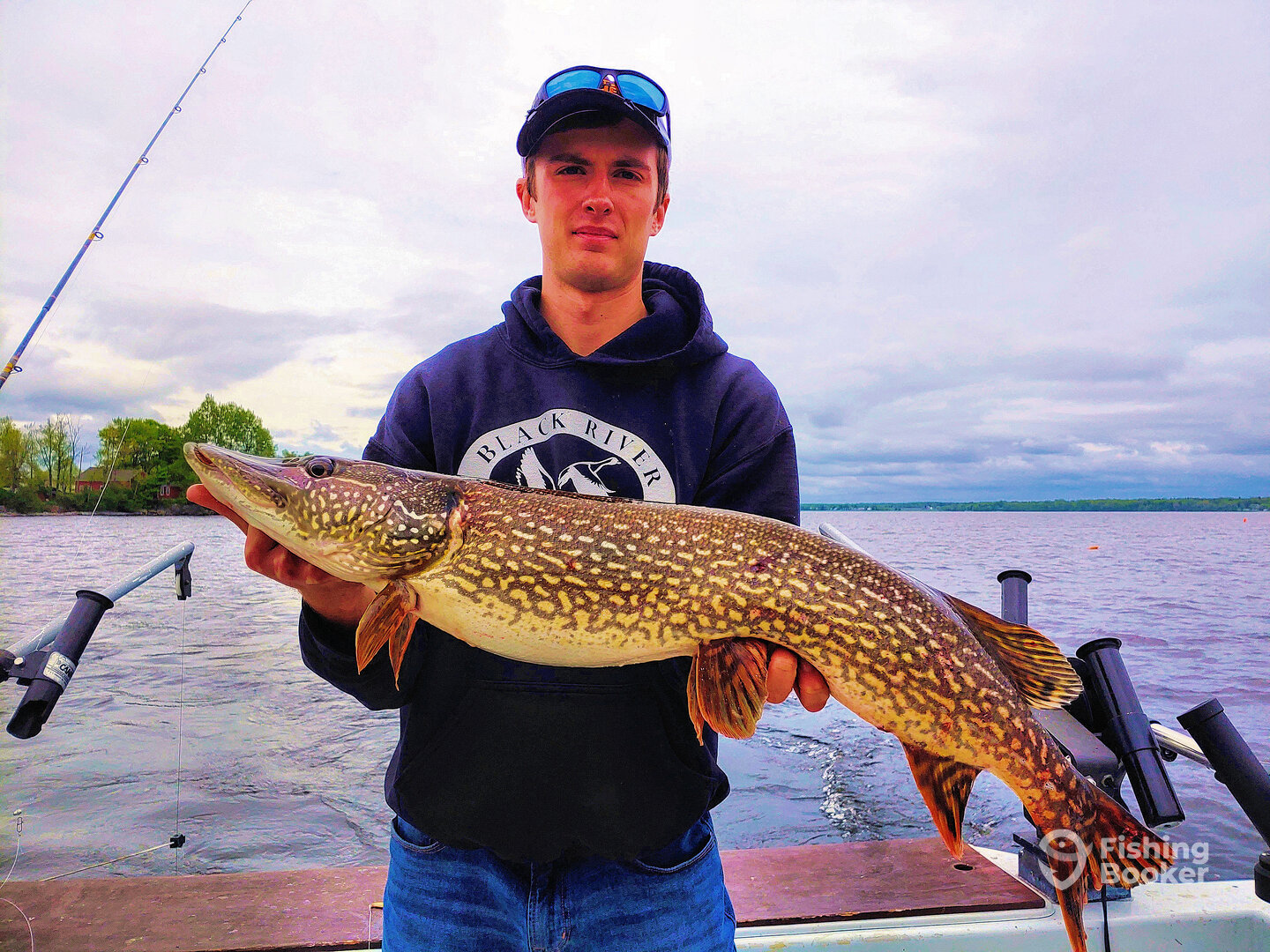 Henderson Report Photo 0