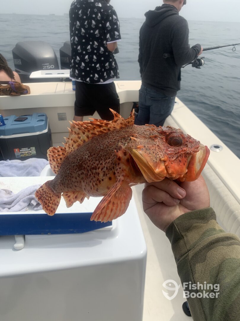 Huntington Beach Report Photo 0