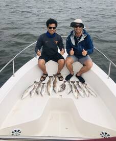 Galveston Report Photo 2