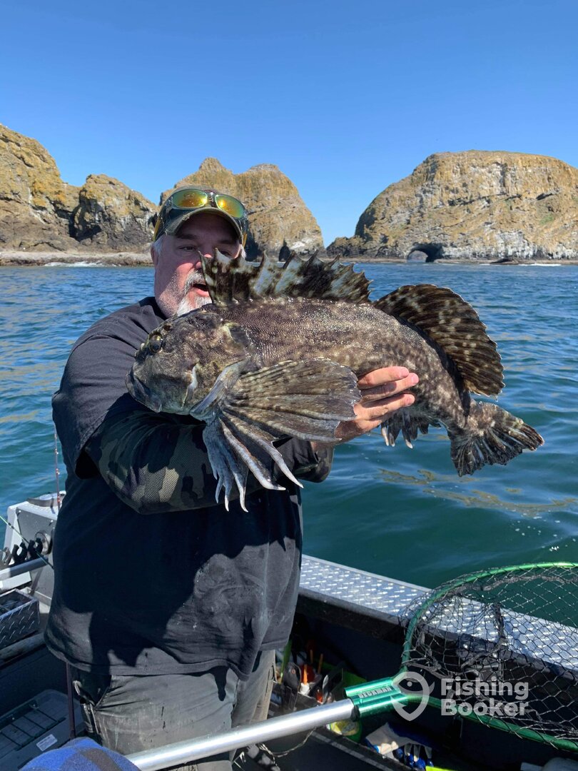 Garibaldi Report Photo 0