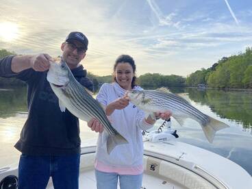 Cumming Report Photo 1