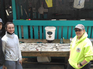 Murrells Inlet Report Photo 2