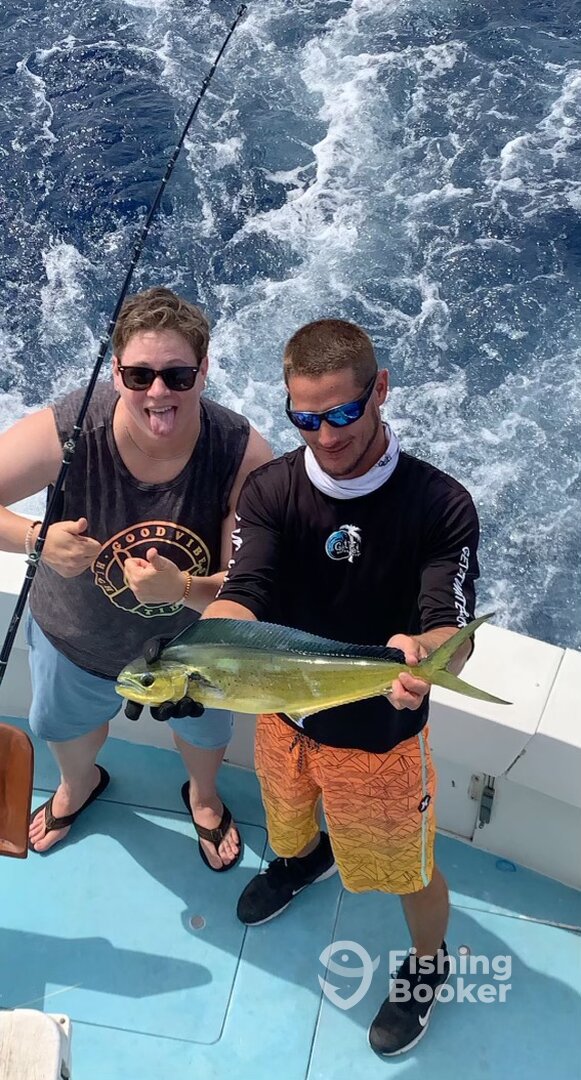 Jupiter Report Photo 0