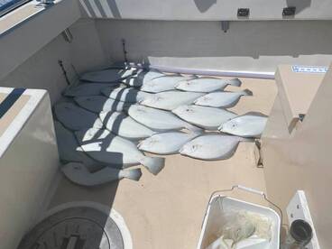 Montauk Report Photo 2