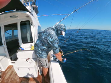 April 2021 - yellow Fin