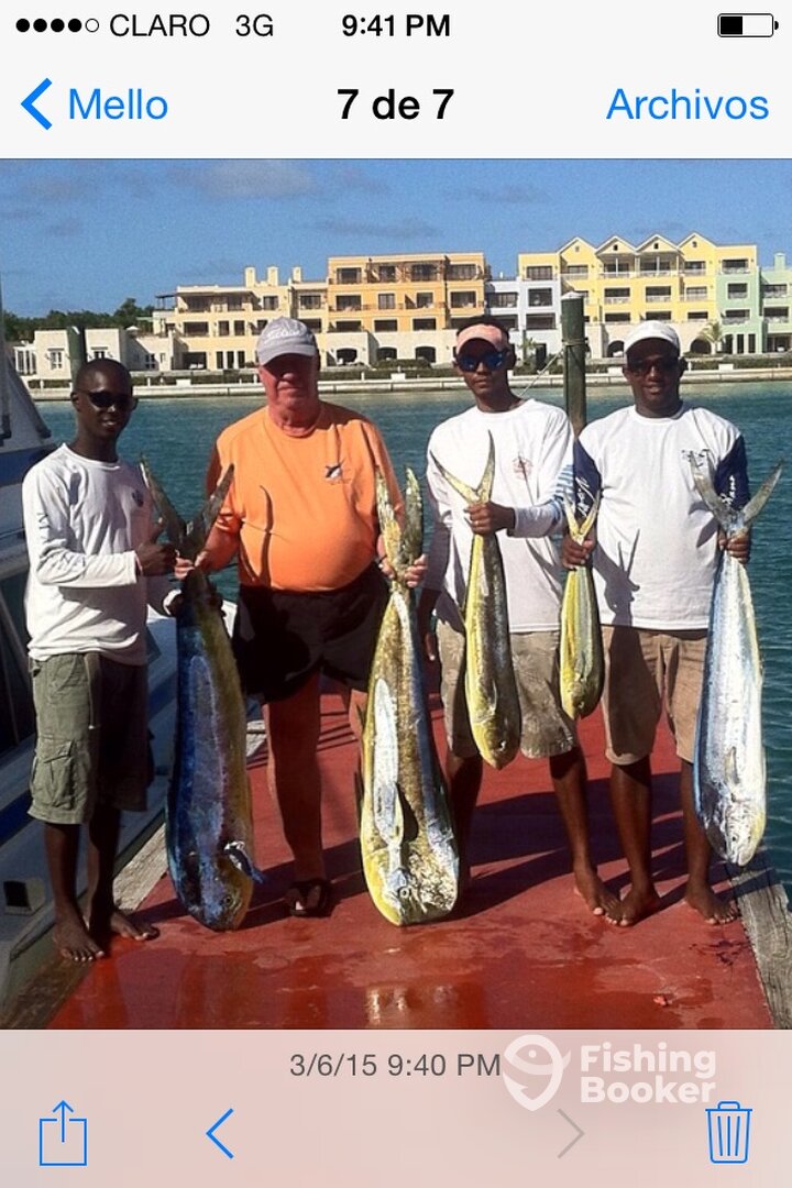 Punta Cana Report Photo 0