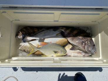 Galveston Report Photo 2