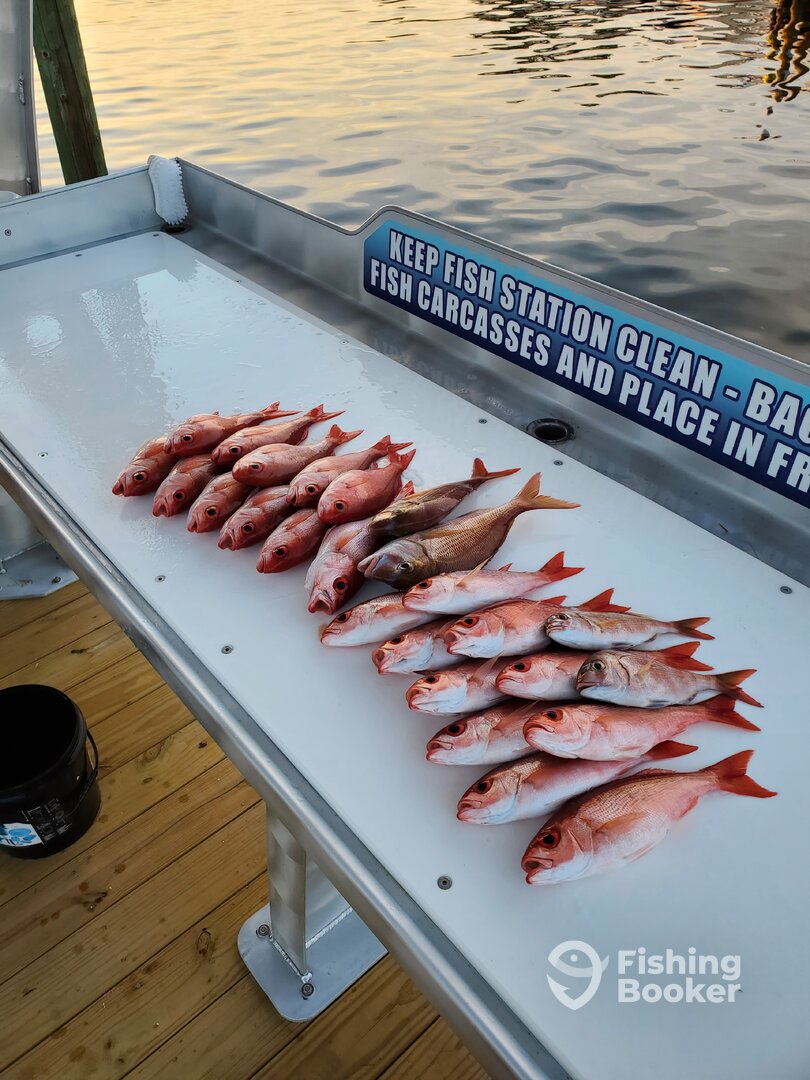 Shalimar Report Photo 0