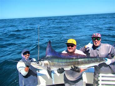 Cabo San Lucas Report Photo 1