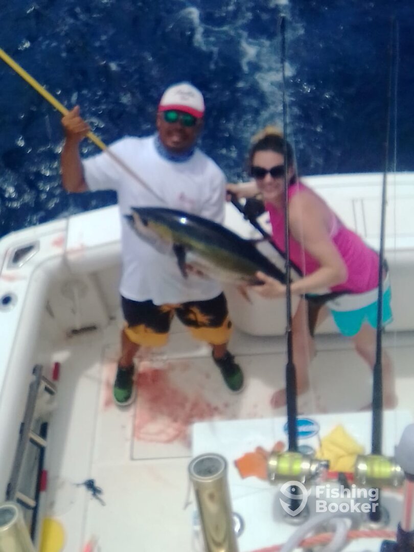 Playa Flamingo Report Photo 0