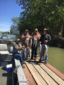 Chico Report Photo 1