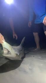 New Smyrna Beach Report Photo 1