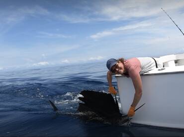 Quepos Report Photo 1