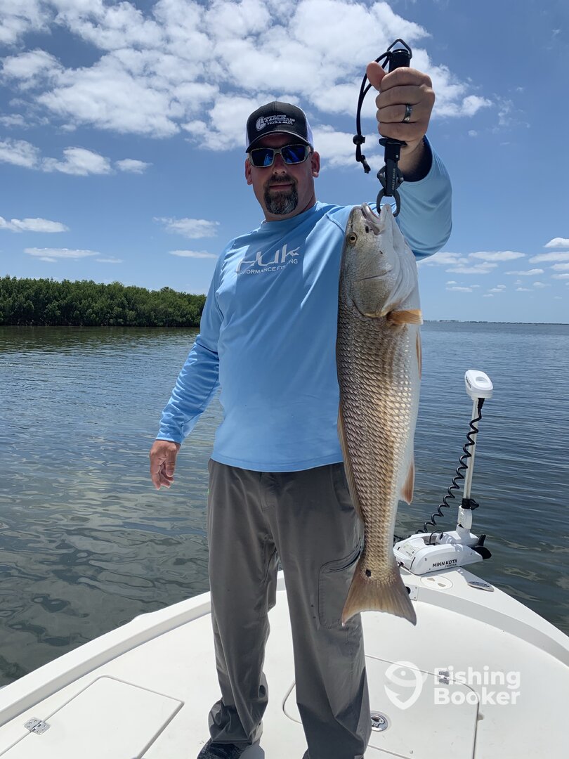 Clearwater Report Photo 0