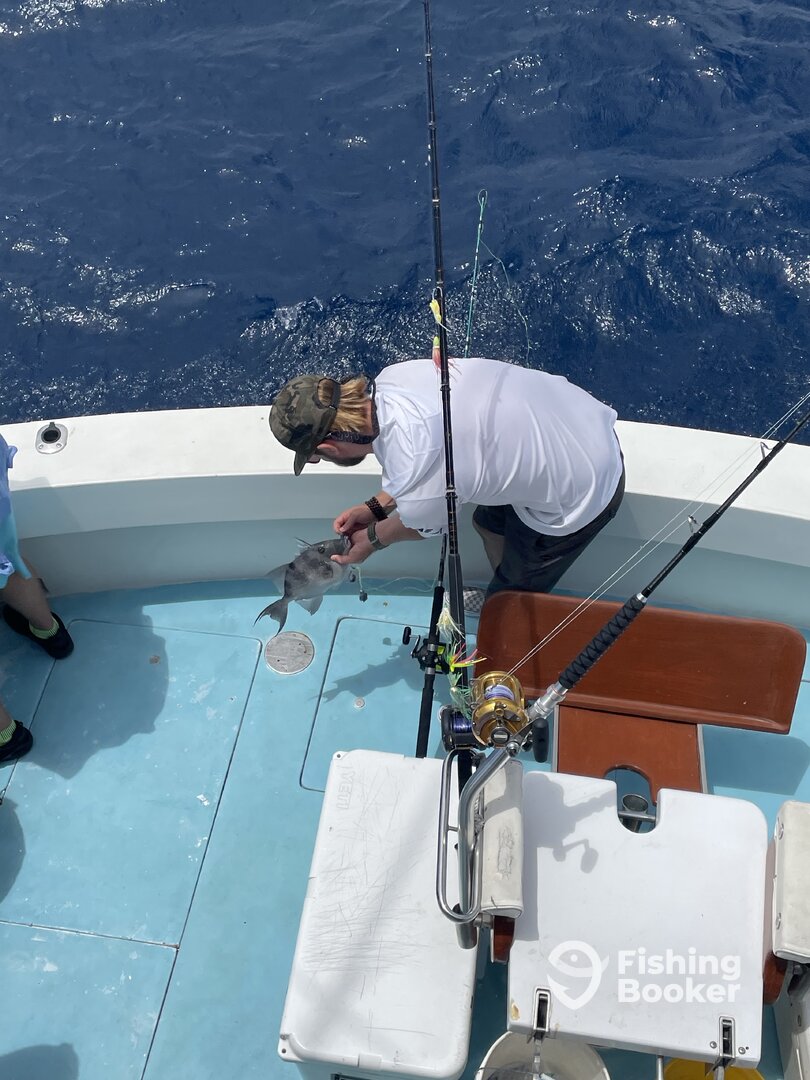 Jupiter Report Photo 0