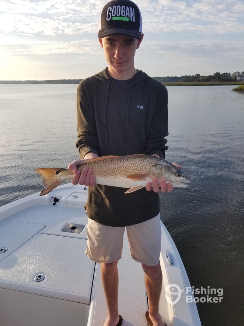 Mount Pleasant Report Photo 0