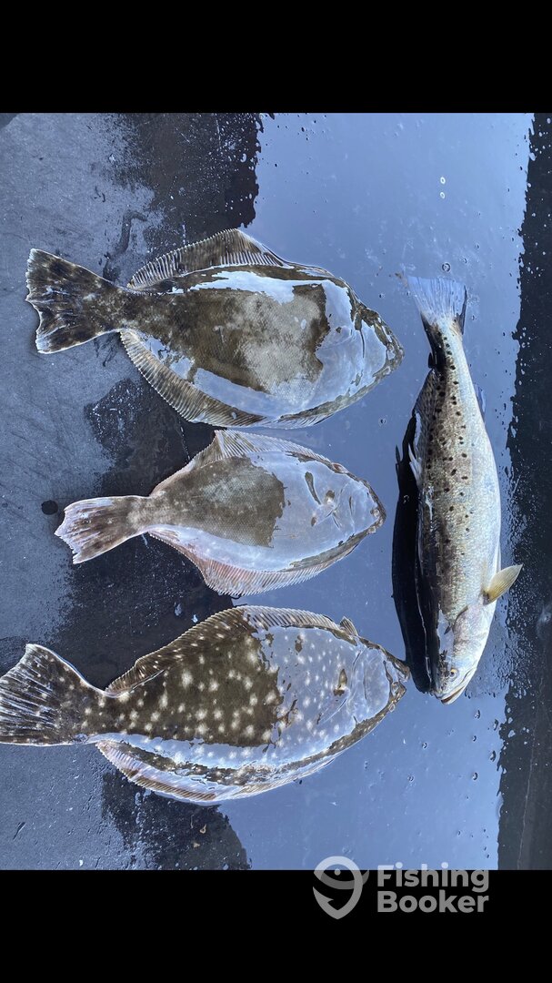 Little River Report Photo 0