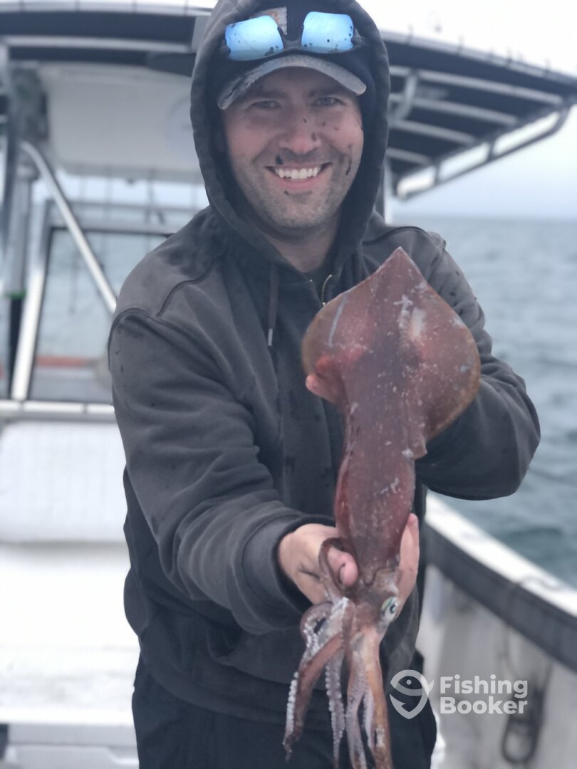 Dennis Report Photo 0