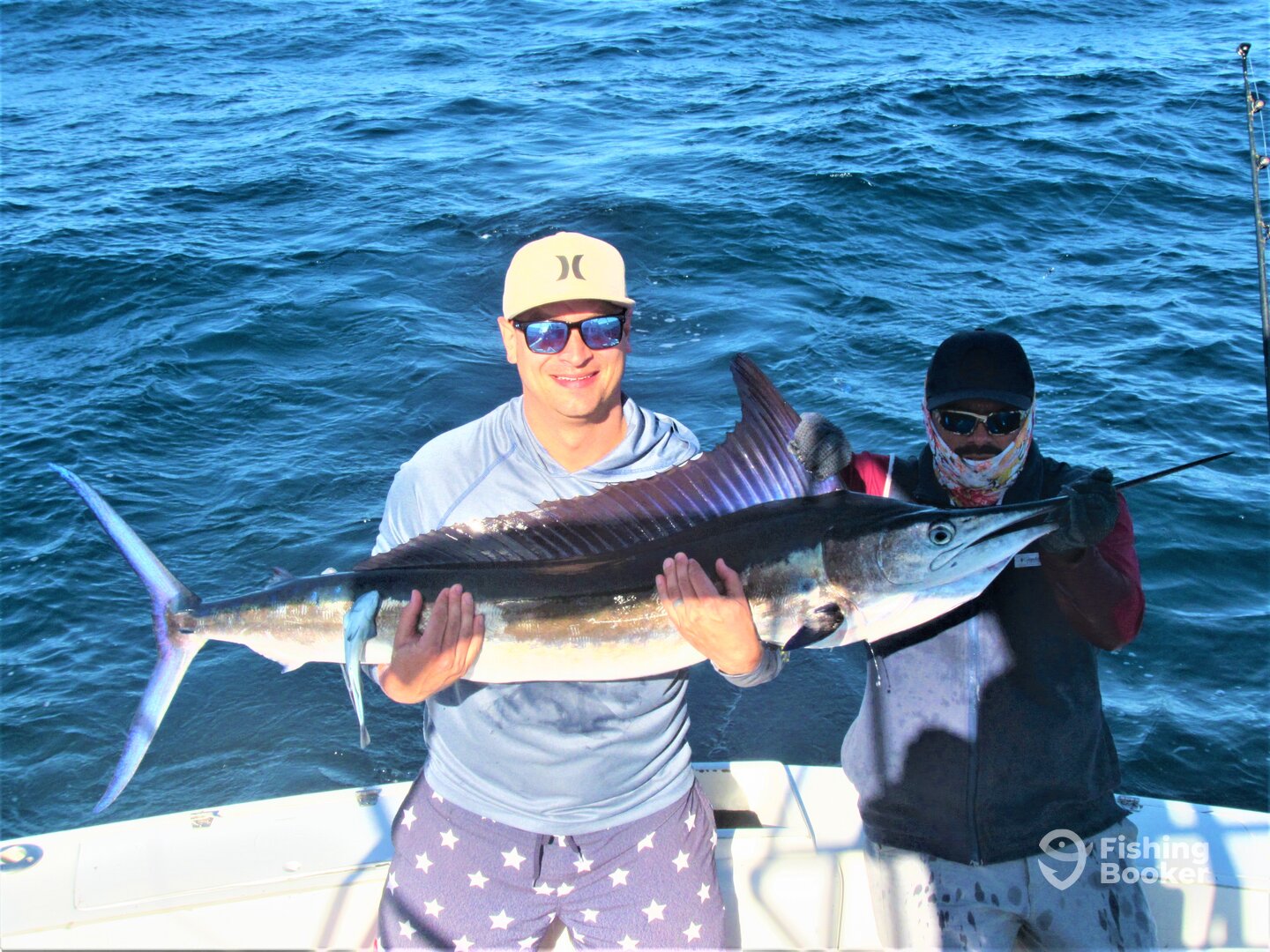 Cabo San Lucas Report Photo 0