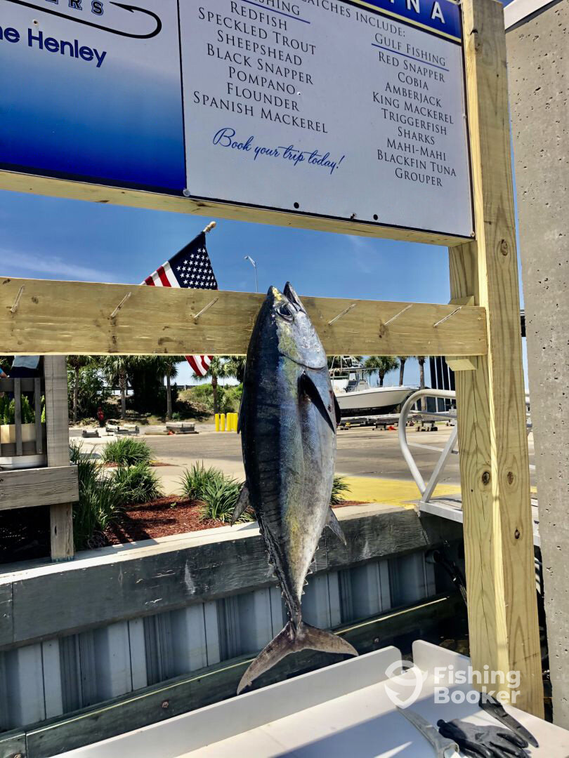 Destin Report Photo 0