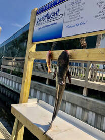 Destin Report Photo 1